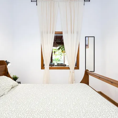 Center Secret Garden