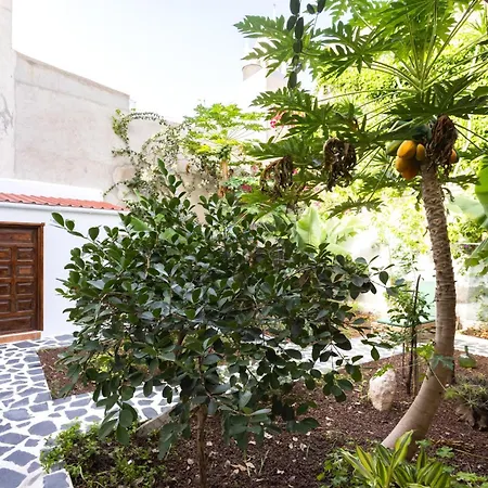 Garachico Center Secret Garden